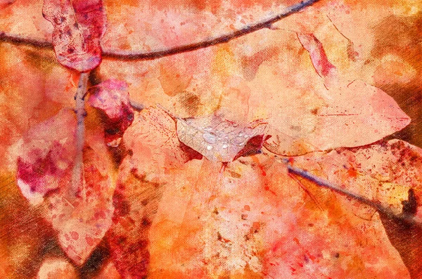 Primer Plano Las Hojas Rojas Otoño Con Gotas Lluvia Hermosas —  Fotos de Stock