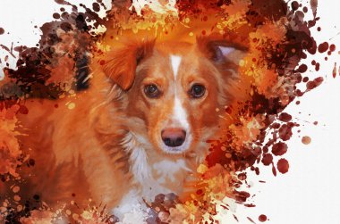 Melez kırmızı bir köpek. Eğilmiş kulaklı komik bir evcil hayvan portresi. Dijital suluboya resim