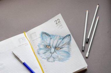 Açık bir günlüğün sayfalarında bir kedinin gerçekçi kalem çizimi.