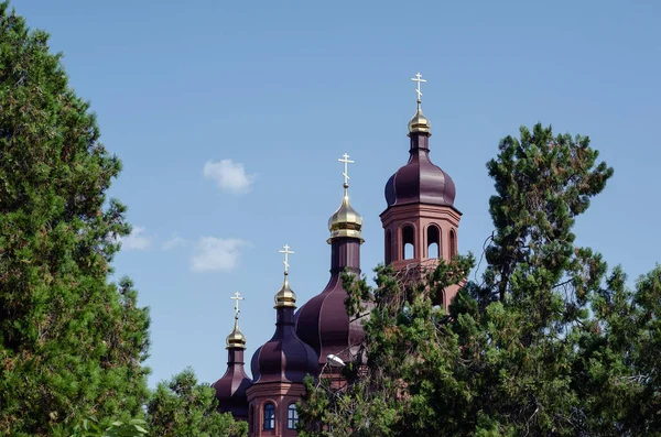 O telhado marrom com cúpulas douradas da Igreja Ortodoxa contra — Fotografia de Stock