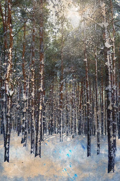 Зимний сосновый лес. Солнечный свет светит сквозь высокую, замерзшую футболку — стоковое фото