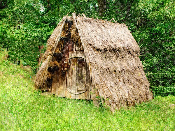 傾斜した茅葺き屋根の下の小さな木造小屋。古い素朴な — ストック写真
