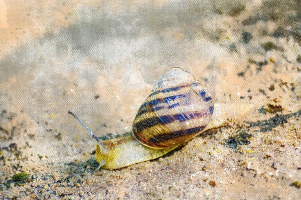 Kerti csiga a homokban. Mollusk lassan mászik a nedves fehér homokon. Állatok a természetes élőhelyükön. Digitális akvarell festés. — Stock Fotó