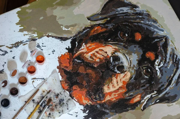 Befejezetlen portré Rottweiler és festék ecsetek vászonra. P — Stock Fotó