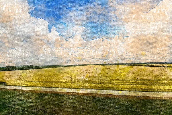 Желтое рапсовое поле пол голубое небо с белыми облаками. Урожай — стоковое фото