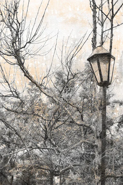 Una farola en un parque de invierno. Una sola calle estilo victoriano lam —  Fotos de Stock