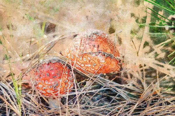 秋の森の中で2匹のアカゲザル。危険な毒マス — ストック写真