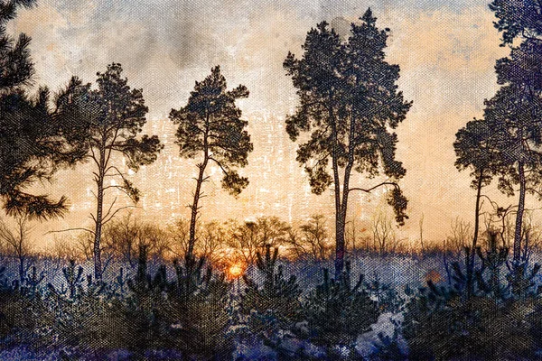 Puesta de sol en un bosque de pinos de invierno. El sol naranja se está poniendo sobre t —  Fotos de Stock