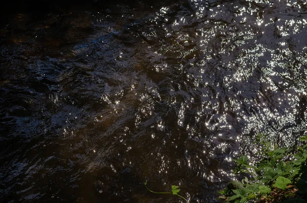 La texture de l'eau qui coule rapidement. Une étroite rivière forestière avec un — Photo