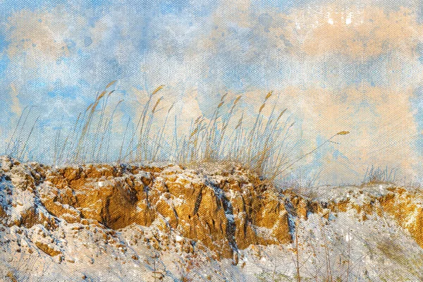 Duna de arena con cañas cubiertas de nieve. La orilla del mar contra el cielo nublado invernal. Día de invierno helado. Acuarela digital pintura —  Fotos de Stock