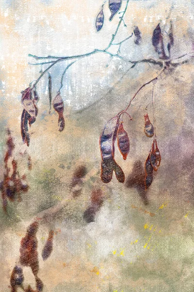 Ramo de acácia molhada com sementes marrons. Foggy manhã de outono na floresta. Pintura aquarela digital — Fotografia de Stock