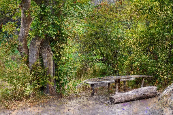 Pihenőhely az őszi erdőben. Fából készült asztal és padok a túraútvonal mellett. Túrázni. Aktív életmód. — Stock Fotó