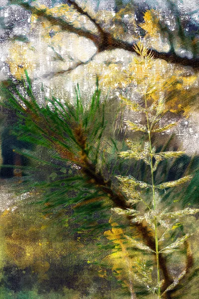 Сухой желтый шип диких трав против зеленых хвойных ветвей. Вертикальный стебель растения при утреннем солнечном свете. — стоковое фото