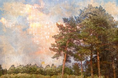 Pembe gün batımına karşı uzun çam ağaçları. Kozalaklı orman. Manzara. Dijital suluboya resim.