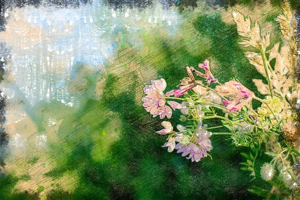 Ramo de flores de pradera rosa y hierbas contra un bosque verde. Flores recién recogidas. —  Fotos de Stock