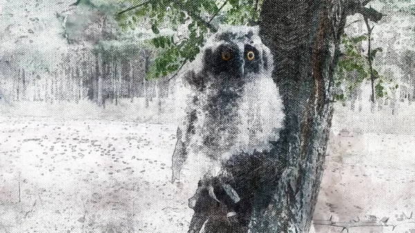 Portrait of an owl sitting on a tree branch in the woods. Cute fluffy chick with big yellow eyes. Bird of prey in its natural habitat. — Stock Photo, Image