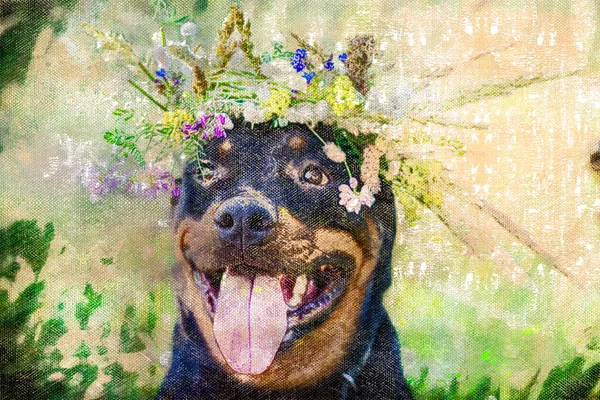 머리에 화환을 두른 로트와일러 여성의 초상화. 화덕에서 야생 초원의 꽃들이 피고 있습니다. 애완 동물. 디지털 수채화 — 스톡 사진