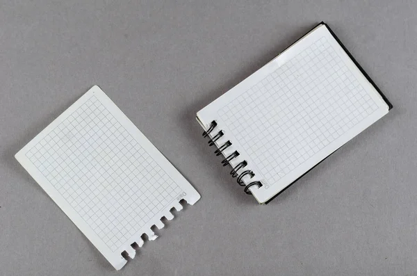 Fjäderbelastad anteckningsbok och ett sönderrivet pappersark på en grå baksida — Stockfoto