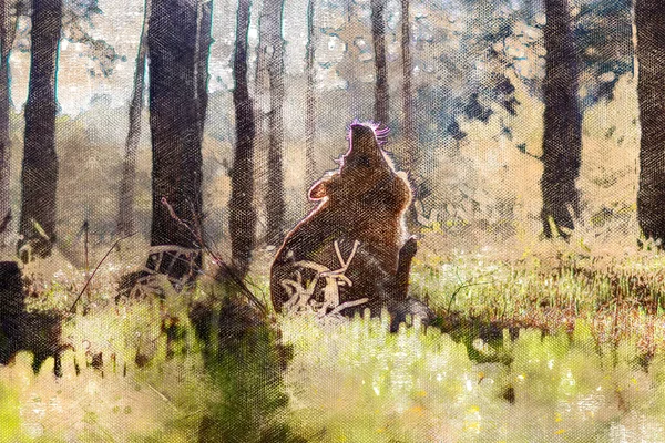 Portré egy kutyáról, aki zöld füvön ül az erdőben. Kis vörös hajú kisállat vegyes fajta az ő szájkosár fel az égig. — Stock Fotó