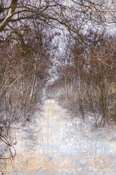 Пустой зимний парк. Тропа, покрытая снегом среди кустов и деревьев. — стоковое фото