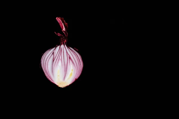 Cipolla Rossa Dolce Tagliata Metà Fondo Nero Isolato Buio Primo — Foto Stock