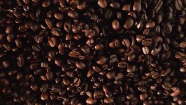 Bouncing Premium Ziarna Kawy Widok Góry Ziarna Kawy Palonej — Wideo stockowe