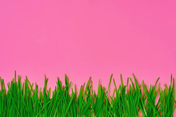 Erba Fresca Diffusa Campo Rosa Brillante Idea Banner Testo Sfondo — Foto Stock