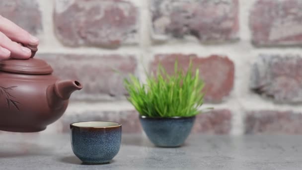 Hot Green Tea Poured Earthen Teapot Blue Bowl Gray Stone — Stock Video