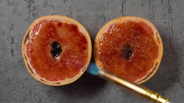 Idé Att Göra Grapefrukt Brulee Dessert Med Hjälp Matlagning Brännare — Stockvideo