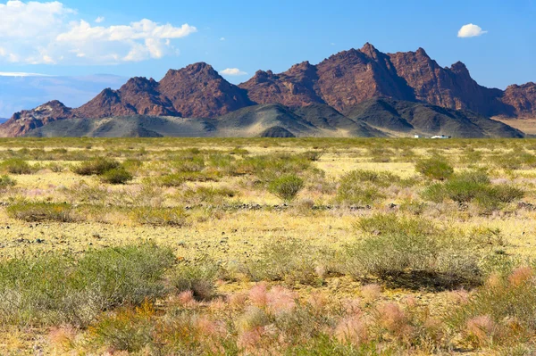 Mongolia estepa paisaje — Foto de Stock