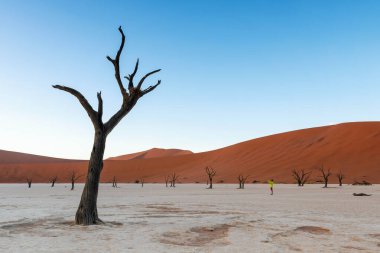 Muhteşem Deadvlei, Namibya 'nın en büyük cazibesi. Namib-Naukluft Parkı 'nın içinde bulunan beyaz bir kil tava. Bu ağaçlar ölmüş, çünkü hayatta kalmak için yeterli su yok..