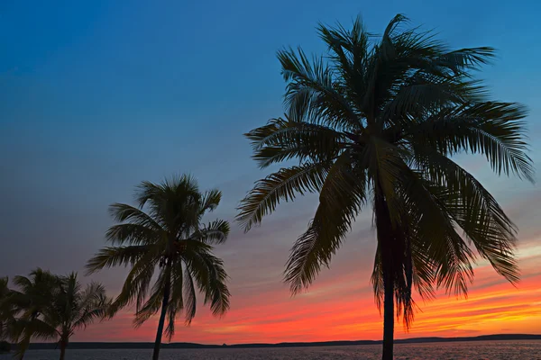 Puesta de sol del Caribe — Foto de Stock