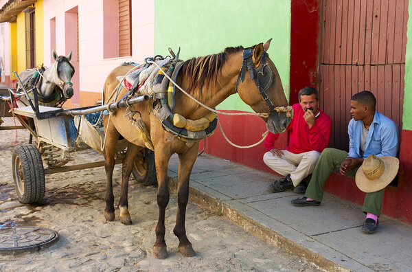 Кубинский кучер
