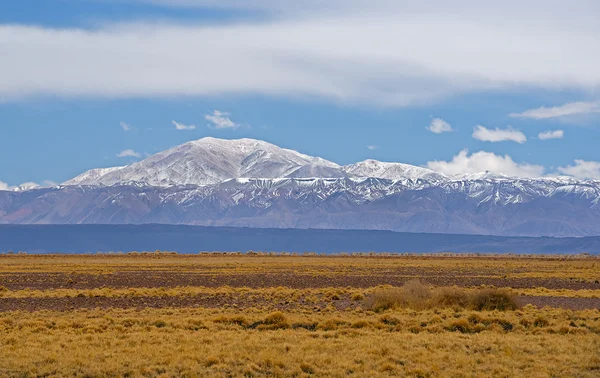 Solna pustynia Atacama — Zdjęcie stockowe