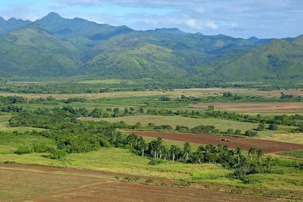 Valle de Los Ingenios, Kuba — Zdjęcie stockowe