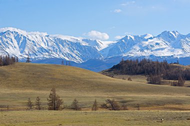 Altay Dağları