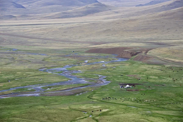 Campamento nómada en la estepa Chuya, montañas Altai — Foto de Stock