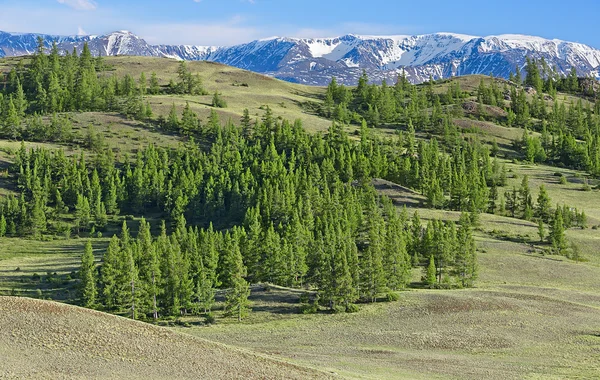 Montañas Altai — Foto de Stock