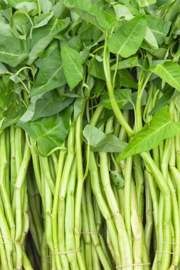 Tayland Mutfağı, su ıspanak üzerinde bir piyasa ahır