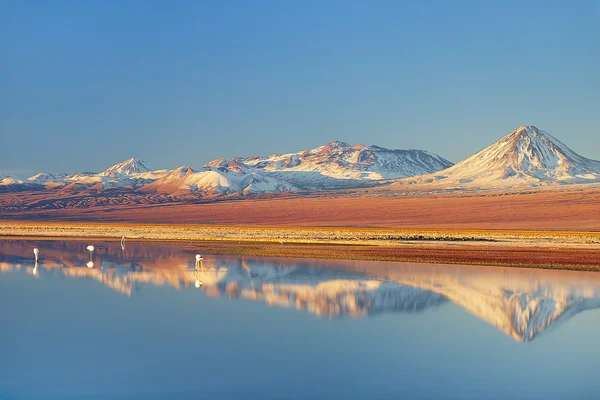 Atacama in der Dämmerung — Stockfoto