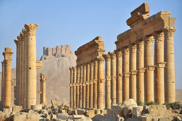 PALMIRA — Φωτογραφία Αρχείου