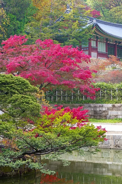 Étang Buyeongji au parc Huwon, jardin secret, palais Changdeokgung — Photo