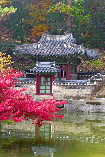 Herbstzeit im geheimen Garten, seoul — Stockfoto