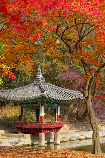 Herbstzeit im geheimen Garten, seoul — Stockfoto