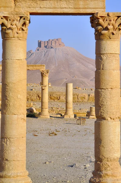 Ruins of antient Palmira — Stock Photo, Image