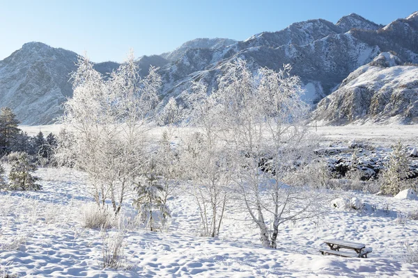 Winterliche Berglandschaft — Stockfoto