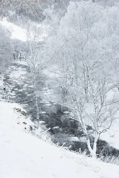 Winterlandschaft, Sibirien — Stockfoto