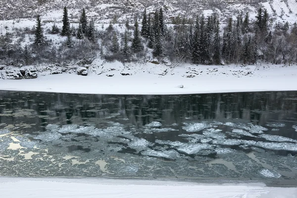 Річка під снігом гори Алтай — стокове фото