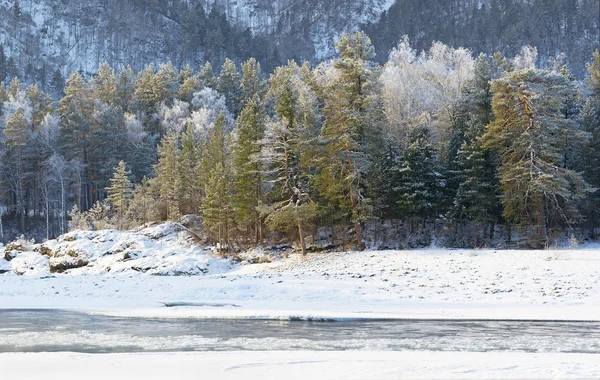 Fluss unter Schnee, Altai-Berge — Stockfoto