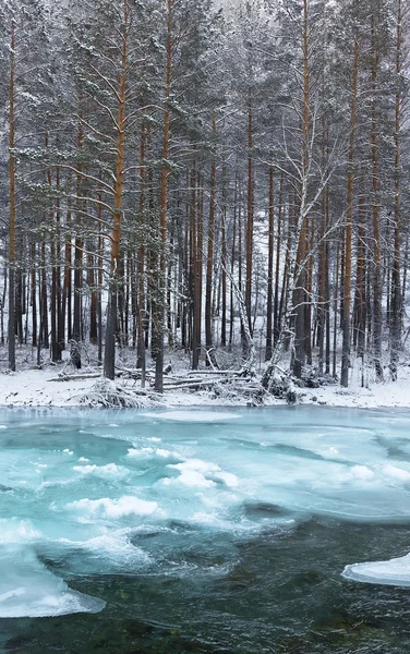 겨울 풍경, 시베리아 — 스톡 사진